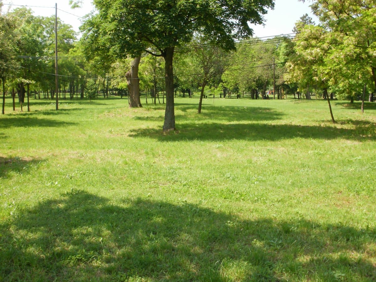 Уикенд в Сокобаня - екскурзия с автобус 8